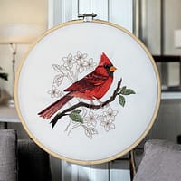 Cardinal-1 Cardinal 1
