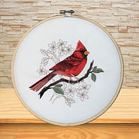 Cardinal-3-Photoroom_2 Cardinal 3 Photoroom 2