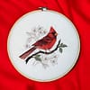 Cardinal 2 1