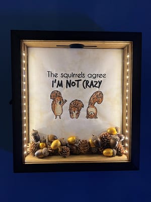 Crazy Squirrels Light Box