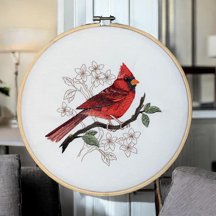 Cardinal-1 Cardinal 1