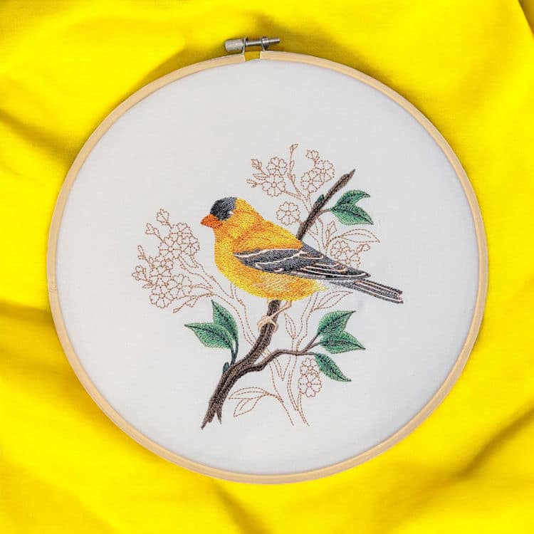 Goldfinch-1-Photoroom_5 Goldfinch 1 Photoroom 5