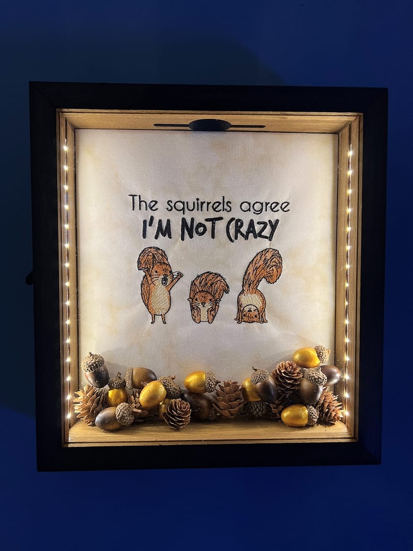 Crazy Squirrels Light Box